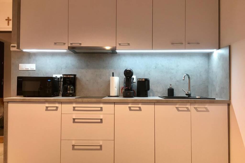 Apartament Fibra Brownie Rybnik  Ngoại thất bức ảnh